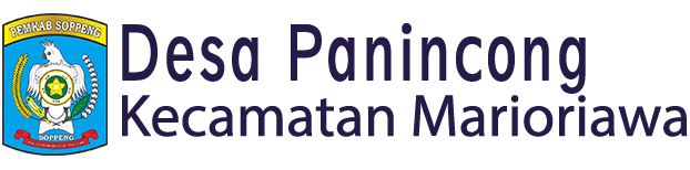 Website Desa Panincong