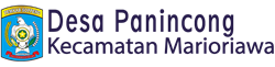 Website Desa Panincong